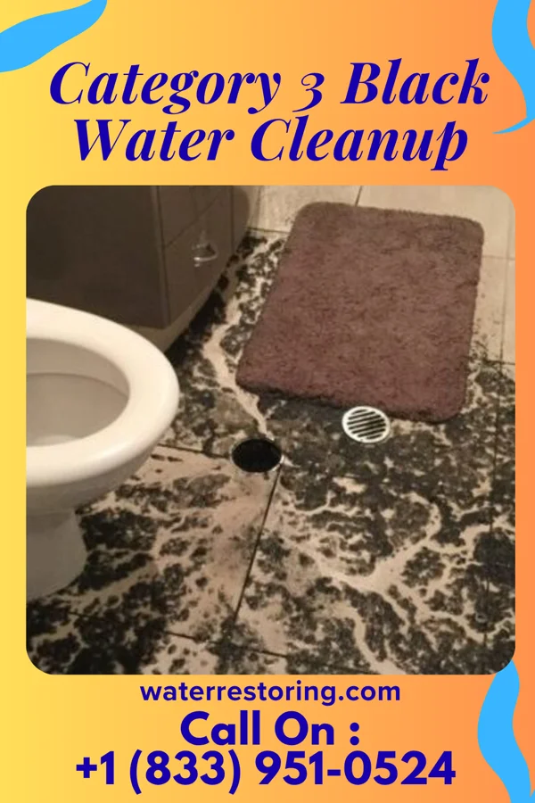 Category 3 Black Water Cleanup in Rockleigh, NJ