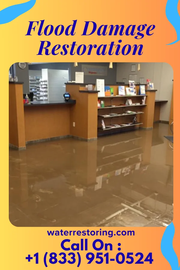 Flood Damage Restoration in Rockleigh, NJ