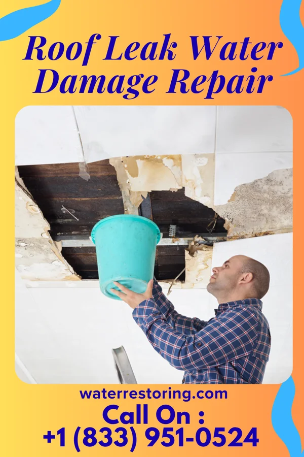 Roof Leak Water Damage Repair in Rockleigh, NJ