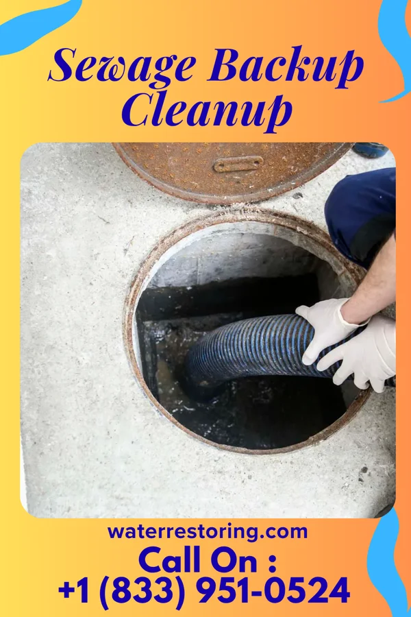 Sewage Backup Cleanup in Rockleigh, NJ